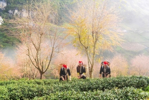 Ha Giang Loop moottoripyöräretki 2 päivää 1 yö