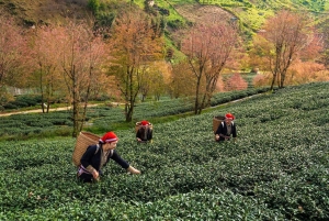 Ha Giang Loop moottoripyöräretki 2 päivää 1 yö