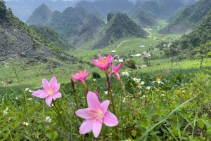 Ha Giang slinga: SUV/JEEP - FLEXIBEL 4 DAGAR Tur med förare