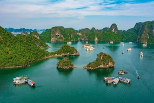 Ha Long Bay 2 Tage 1 Nacht auf 3-Sterne-Kreuzfahrt ab Ninh Binh