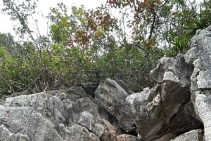 Ha Long Bay 3d2n on the luxury junk boat -Ruby cruise