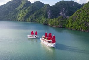 Ha Long Bay - Bai Tu Long Bay Luxury Boat Tour & Transfer
