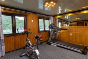 Ha Long Bay - Bai Tu Long Bay Luxury Boat Tour & Transfer