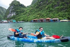 Ha Long Bay - Bai Tu Long Bay Luxury Boat Tour & Transfer