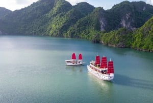 Ha Long Bay - Bai Tu Long Bay Luxury Boat Tour & Transfer