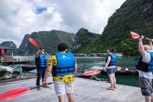 Ha Long Bay - Bai Tu Long Bay Luxury Boat Tour & Transfer