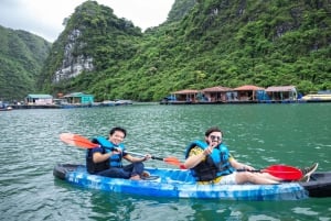 Ha Long Bay - Bai Tu Long Bay Luxury Boat Tour & Transfer