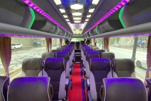 Gita di 1 giorno nella baia di Ha Long con crociera deluxe