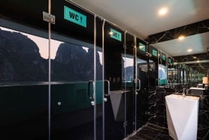 Dagtrip naar Ha Long Bay met luxe cruise