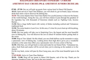 Dagtrip naar Ha Long Bay met luxe cruise