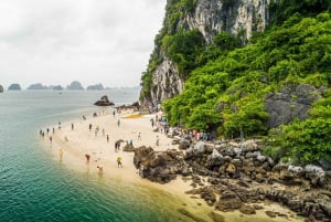 Cruzeiro de luxo na Baía de Ha Long: Ilhas, grutas e almoço local