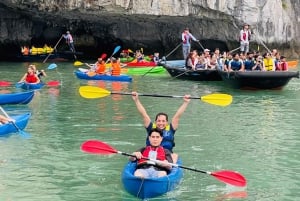 Baia di Ha Long: Crociera di lusso di un giorno, grotte, kayak e pranzo a buffet