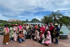 Baia di Ha Long: Crociera di lusso di un giorno, grotte, kayak e pranzo a buffet