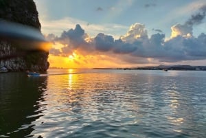 Baia di Ha Long: Crociera di lusso di un giorno, grotte, kayak e pranzo a buffet