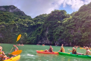 Baia di Ha Long: Crociera di lusso di un giorno, grotte, kayak e pranzo a buffet