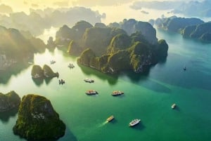 From Hanoi: Ha Long Bay Luxury Day Cruise with Food & Kayak