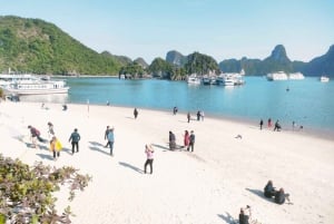 From Hanoi: Ha Long Bay Luxury Day Cruise with Food & Kayak