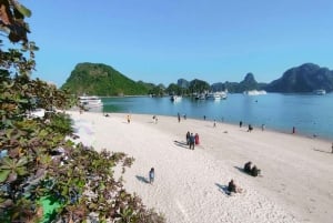 From Hanoi: Ha Long Bay Luxury Day Cruise with Food & Kayak