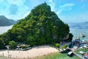 Hanoi: Zatoka Lan Ha i wyspa Cat Ba – wycieczka 1-dniowa – Tropical Cruise