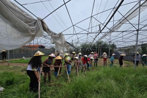 Ha Noi: Authentic Old Village Culture Day Tour