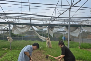 Ha Noi: Authentic Old Village Culture Day Tour