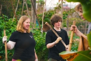 Ha Noi: Authentic Old Village Culture Day Tour