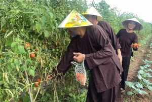 Ha Noi: Authentic Old Village Culture Day Tour
