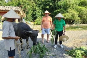 Ha Noi - Isla de Cat Ba - Ninh Binh - Circuito de 3 días y 2 noches