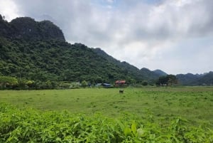 Ha Noi - Isla de Cat Ba - Ninh Binh - Circuito de 3 días y 2 noches