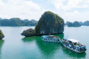 Ha Noi - Isla de Cat Ba - Ninh Binh - Circuito de 3 días y 2 noches