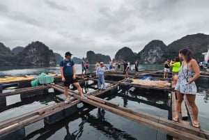 Ha Noi - Isla de Cat Ba - Ninh Binh - Circuito de 3 días y 2 noches