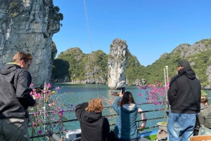 Ha Noi/Cat Ba: Lan Ha Bay-Viet Hai Village Cykling, kajakpaddling
