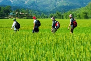 Ha Noi: Charming Mai Chau & Pu Luong Getaway 3 Days 2 Nights