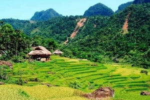 Ha Noi: Charming Mai Chau & Pu Luong Getaway 3 Days 2 Nights