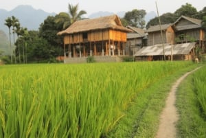 Ha Noi: Charming Mai Chau & Pu Luong Getaway 3 Days 2 Nights