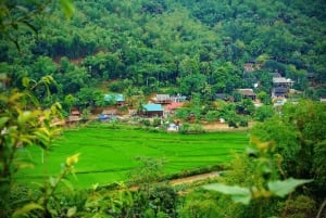 Ha Noi: Charming Mai Chau & Pu Luong Getaway 3 Days 2 Nights