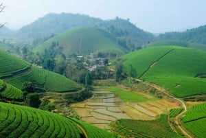Ha Noi: Charming Mai Chau & Pu Luong Getaway 3 Days 2 Nights