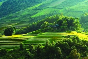 Ha Noi: Charming Mai Chau & Pu Luong Getaway 3 Days 2 Nights