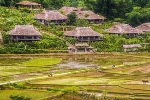 Ha Noi: Charming Mai Chau & Pu Luong Getaway 3 Days 2 Nights