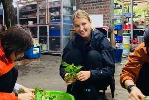 Ha Noi - Kokopäivän mindfulness-meditaatioretriitti