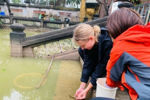 Ha Noi - Kokopäivän mindfulness-meditaatioretriitti