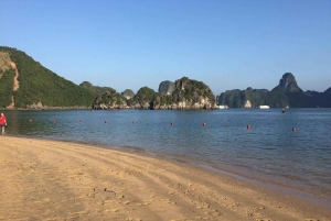 Hanoi: Ha Long Bay 1 dag/kleine groep en lunch