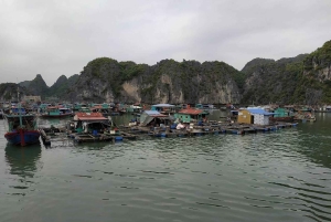 Hanoi: Ha Long Bay 1 dag/kleine groep en lunch