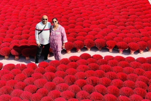 Ha Noi: Pagode do Perfume ou Aldeia do Incenso com recolha de guia