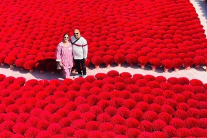 Ha Noi: Pagode do Perfume ou Aldeia do Incenso com recolha de guia