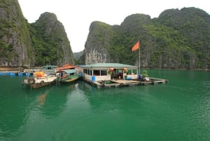 Halong Bay: dagcruise met zwemmen, maaltijd en kajakken