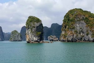 Halong Bay: dagcruise met zwemmen, maaltijd en kajakken