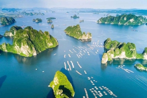 Halong Bay: dagcruise met zwemmen, maaltijd en kajakken