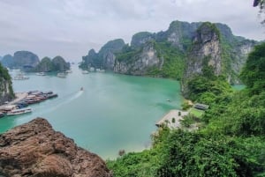 Crucero de Lujo por la Bahía de Halong: Kayak&Natación,Cueva,Fiesta MEJOR VENDIDO
