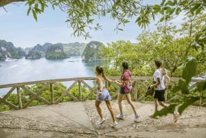 Halong Bay TOP 5-stjernet luksus dagskrydstogt med frokostbuffet
